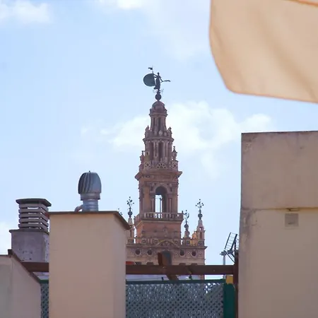 Entre Catedrales Terrace Sevilla